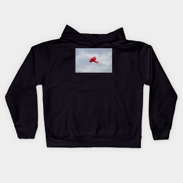 A little Fokker Dr.1 Triplane kite Kids Hoodie by declancarr